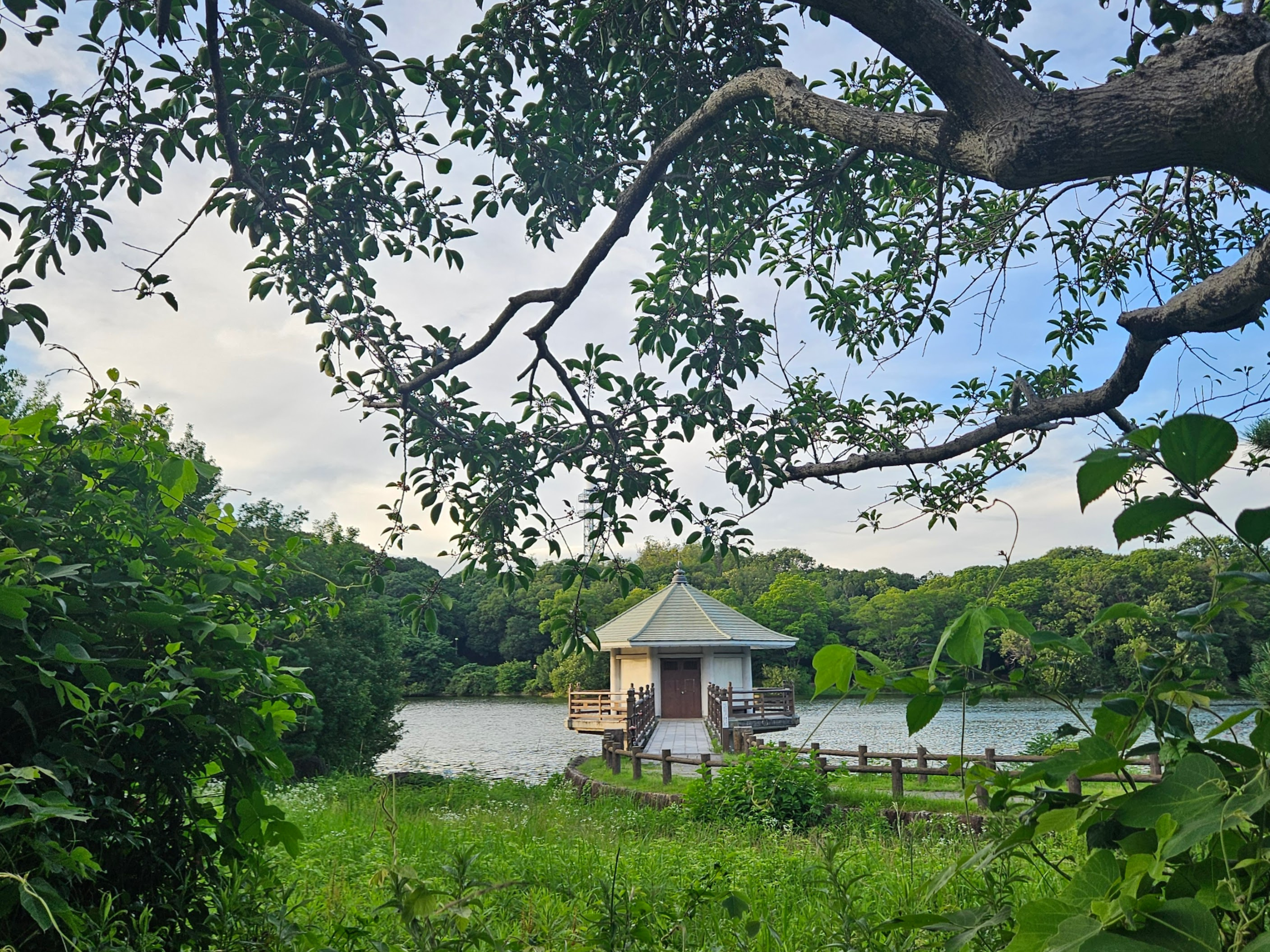 yamadaike park