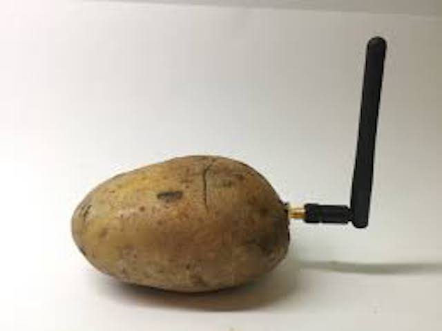 potato internet 遅いインターネット